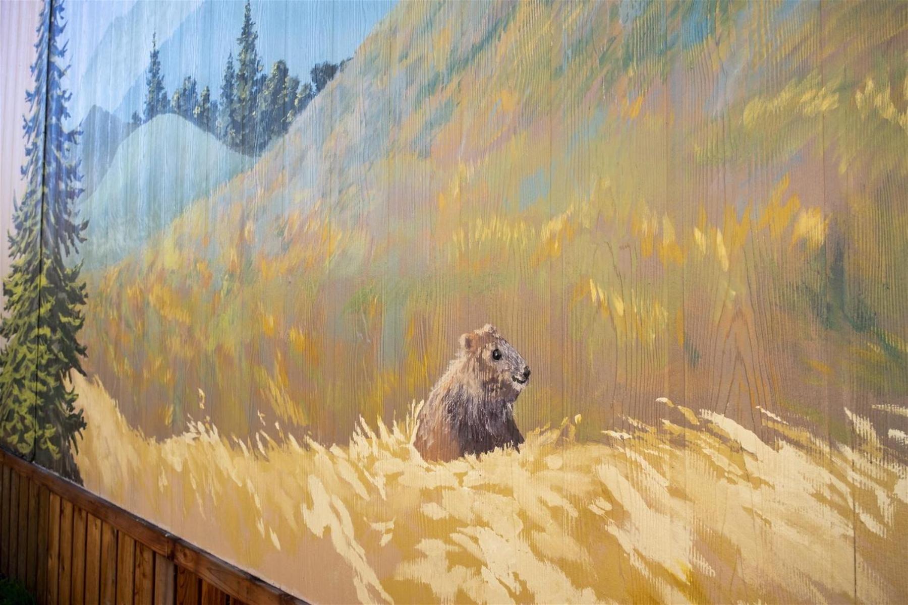 Woodchuck Flat Villa Fort Bragg Luaran gambar
